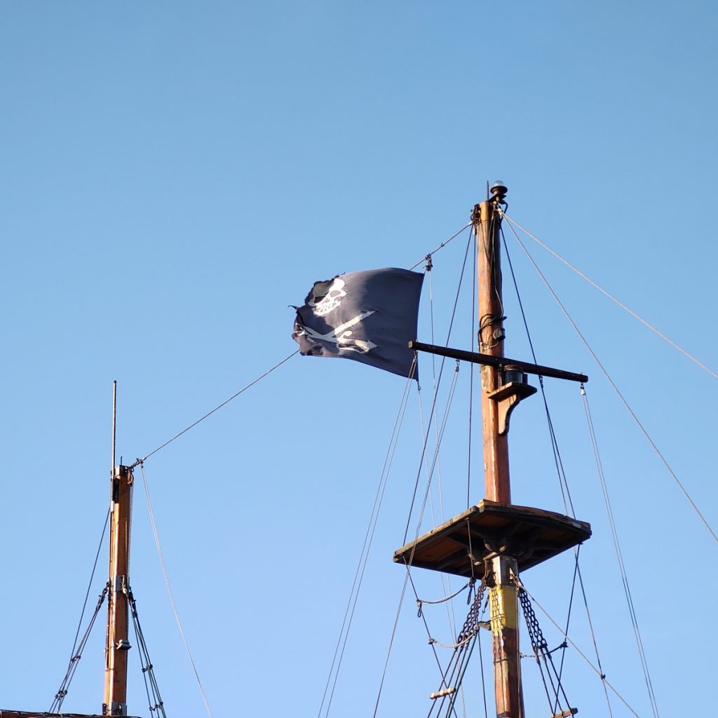 Motorola One Zoom Review 048 samples 1024x1024 - نقد و بررسی موتورولا وان زوم, میان رده ای با طعم بزرگ نمایی