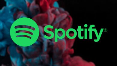 تصویر از اسپاتیفای در حال تست ویدیو عمودی به سبک تیک تاک است