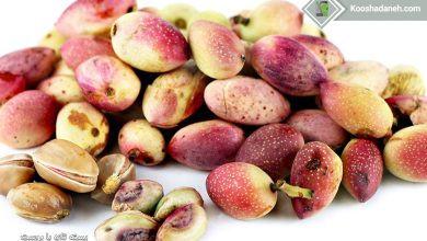 تصویر از سادهترین آموزش تهیه مربای پسته با طعمی فوقالعاده
